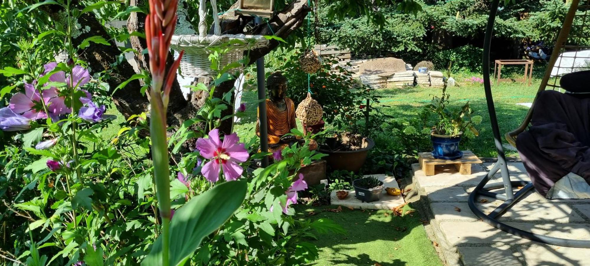 Chambre L'Orchidee Vallon-Pont-dʼArc Εξωτερικό φωτογραφία