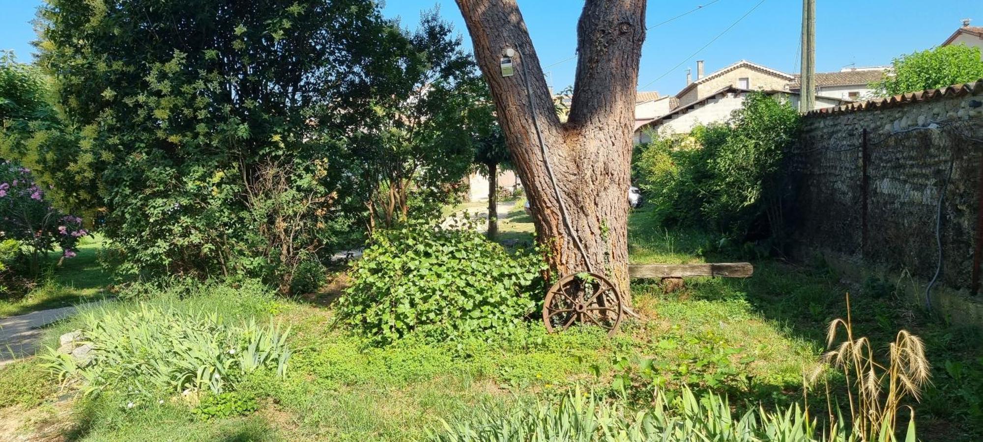 Chambre L'Orchidee Vallon-Pont-dʼArc Εξωτερικό φωτογραφία