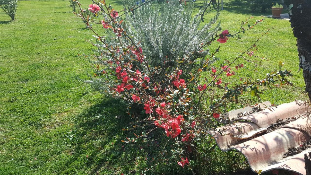 Chambre L'Orchidee Vallon-Pont-dʼArc Εξωτερικό φωτογραφία
